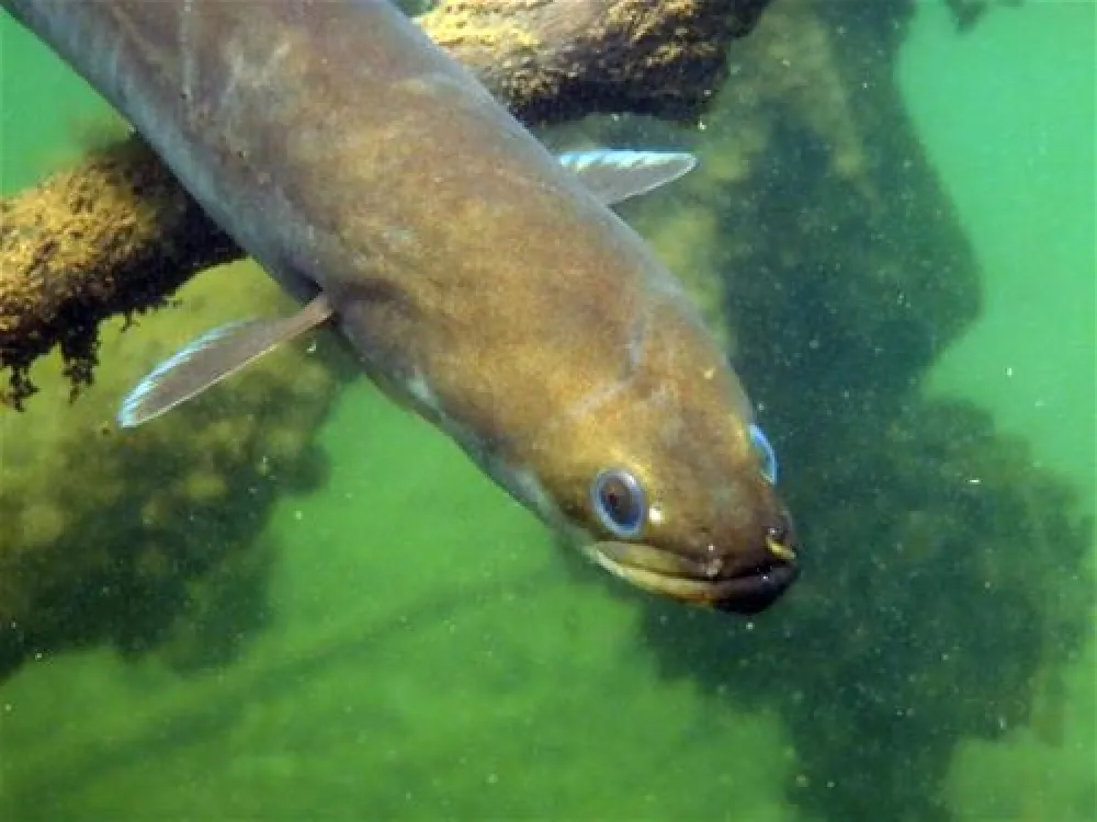 Touristenzentrum Zabakuck