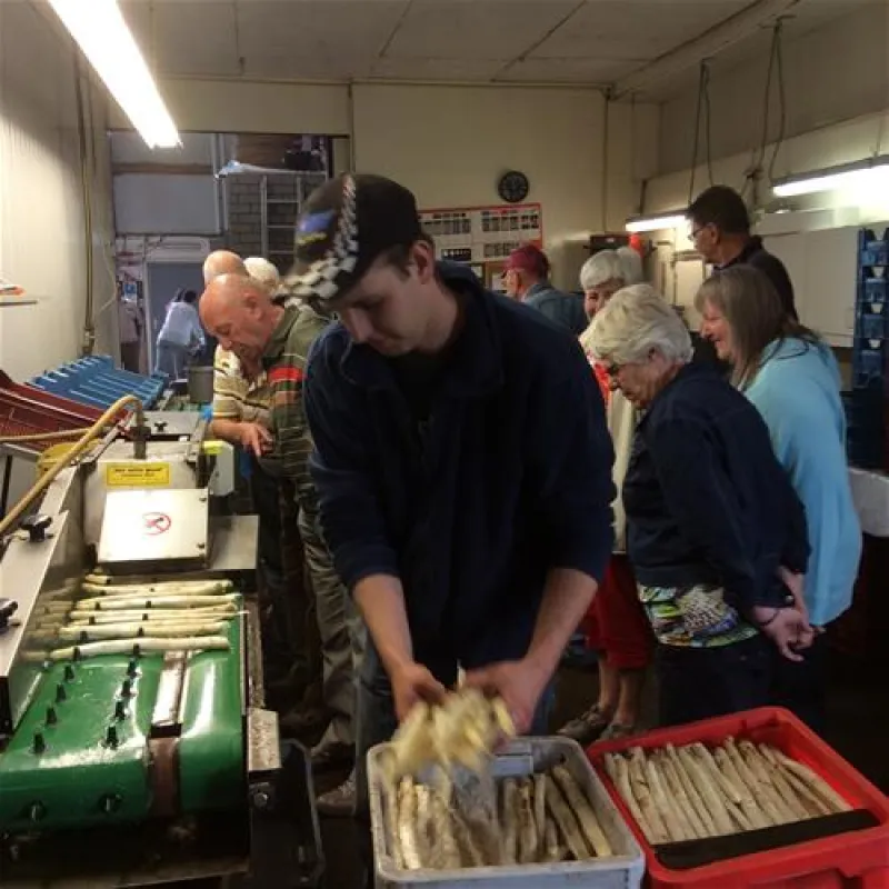 Camping Den Aenstoot