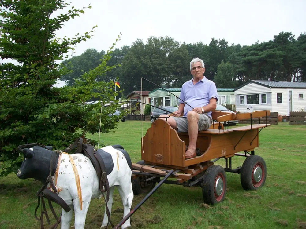 Camping Den Aenstoot