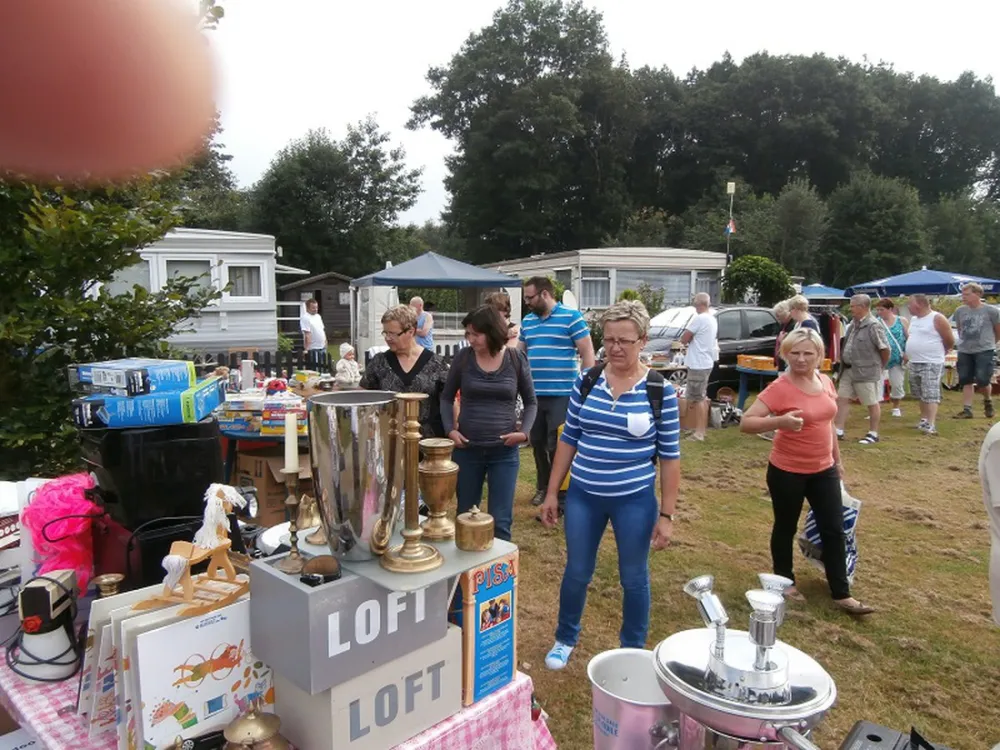 Camping Den Aenstoot