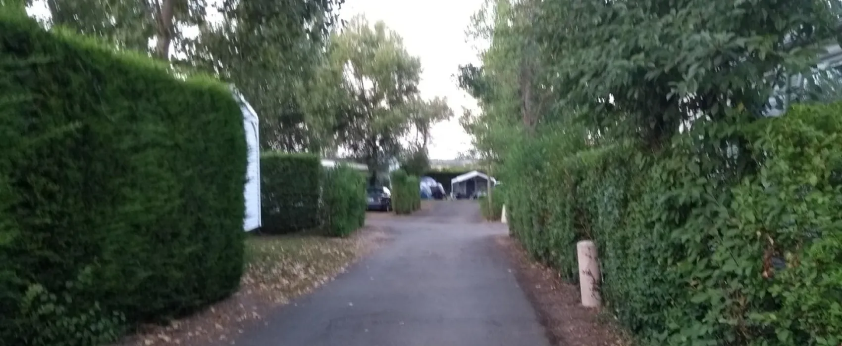 Flower Camping Bois Soleil  