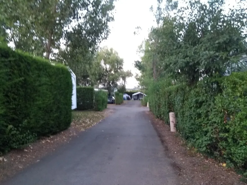 Flower Camping Bois Soleil  