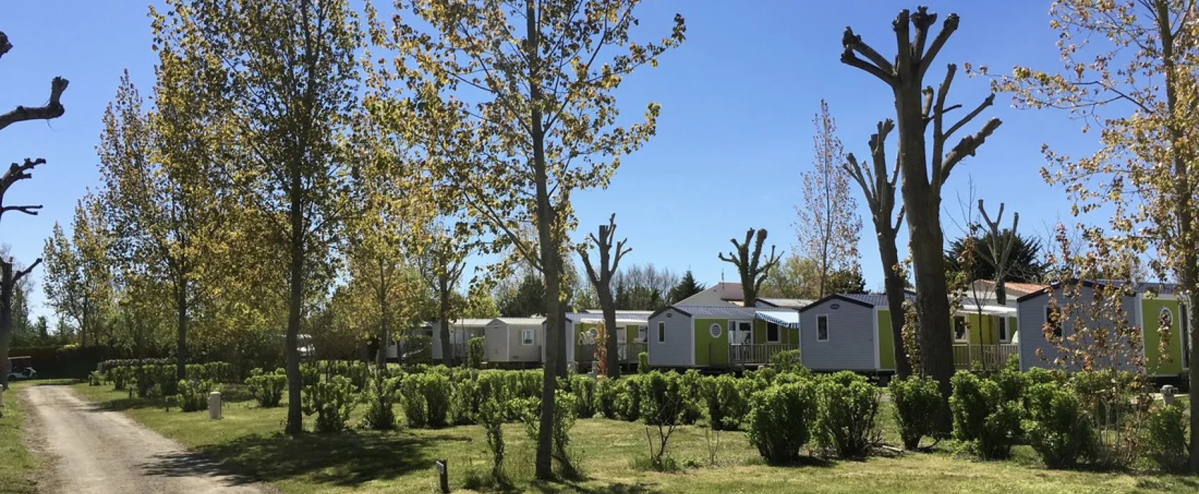 Flower Camping Bois Soleil  