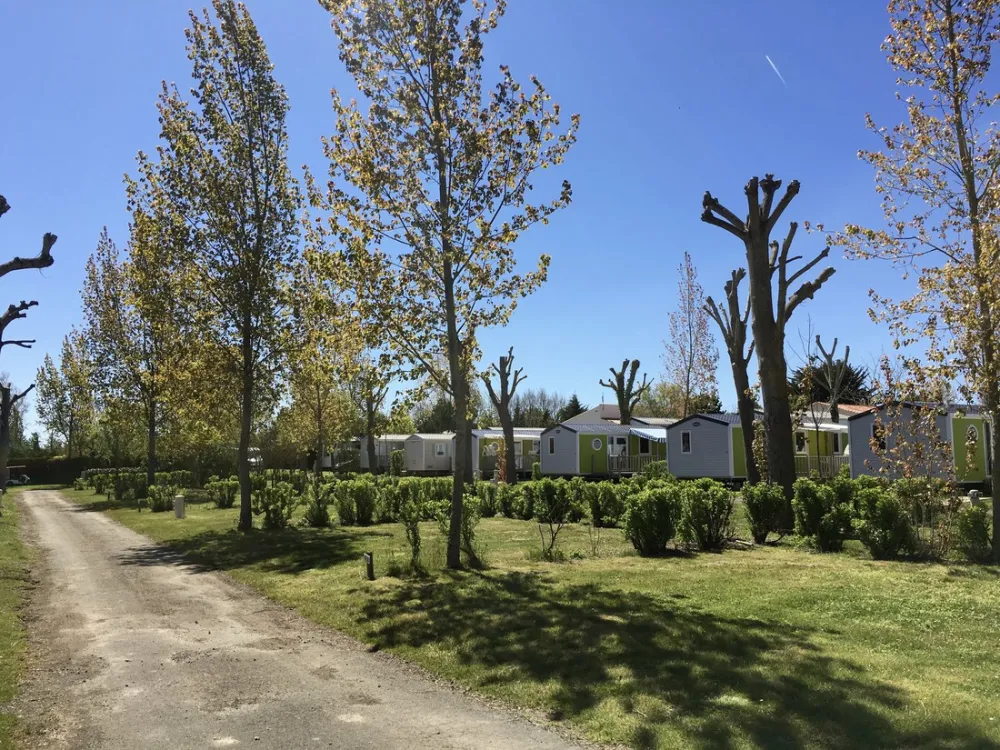 Flower Camping Bois Soleil  