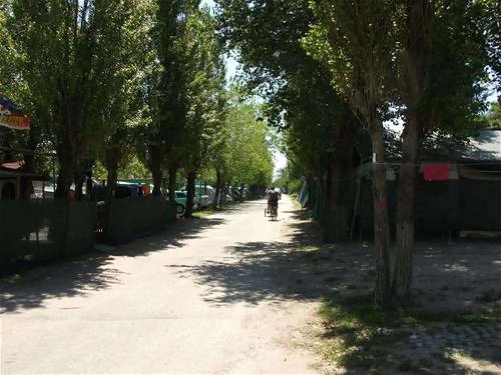 Camping Vittoria