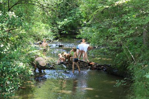 Le moulin de douzy photo 5