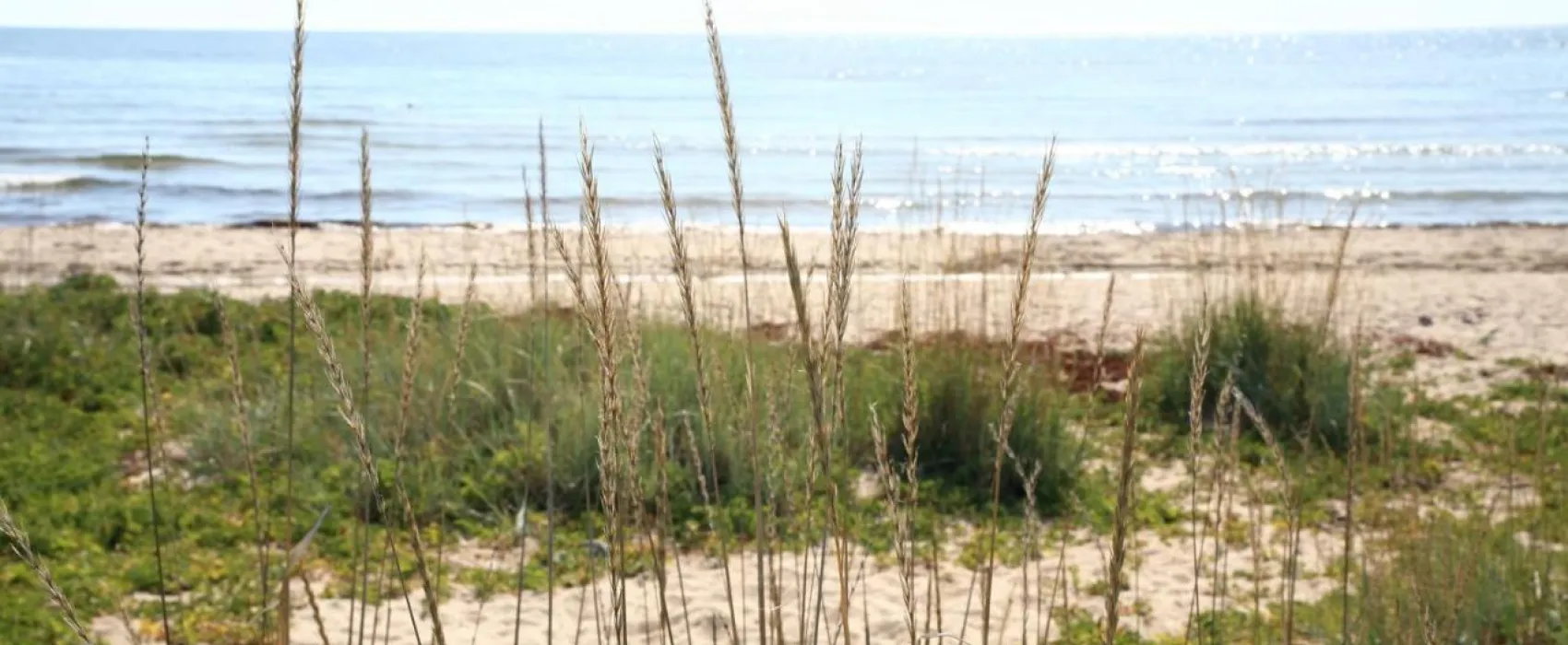 Hölick Havsresort & SPA Gävleborg