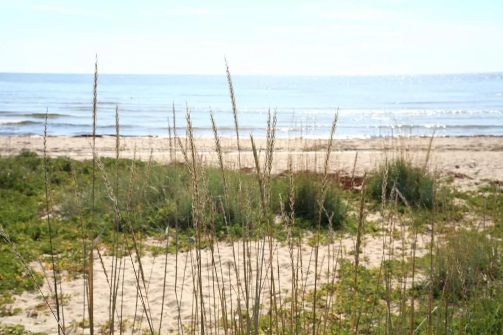 Hölick Havsresort & SPA Gävleborg