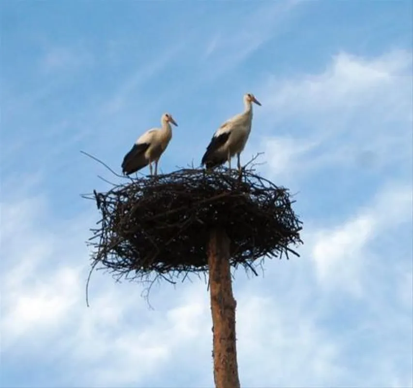 Camping Sonnenland - Freizeitpark