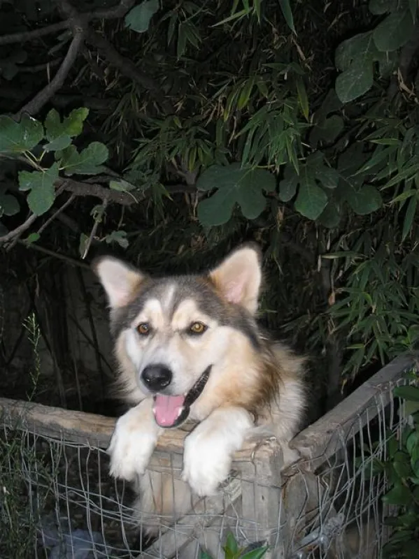 Hotel Restaurant Baron