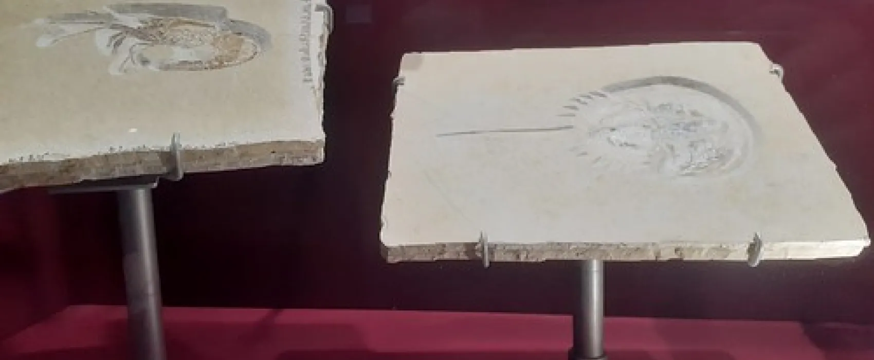 Lions (Berry) Park Campground