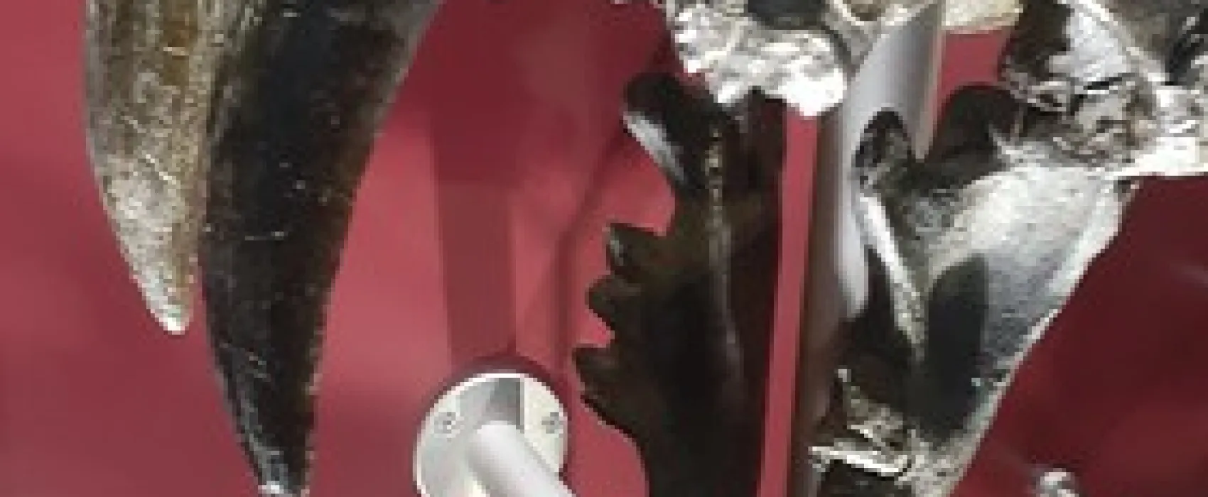 Lions (Berry) Park Campground