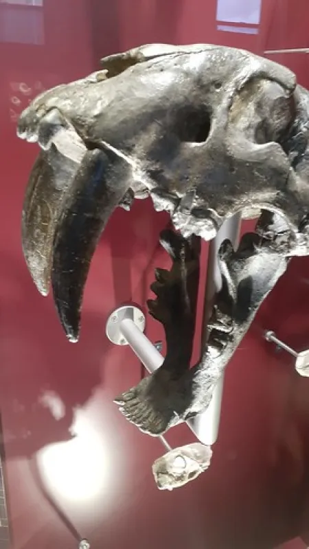 Lions (Berry) Park Campground