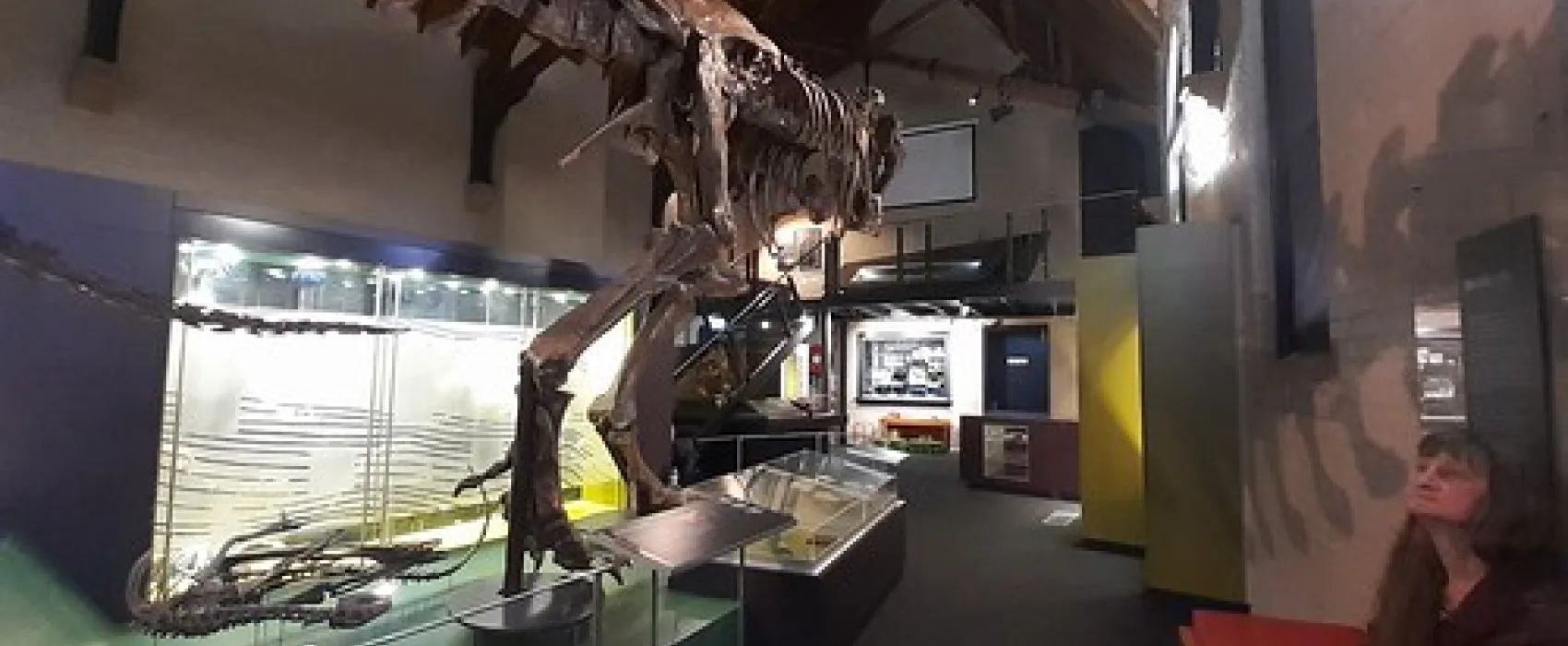 Lions (Berry) Park Campground