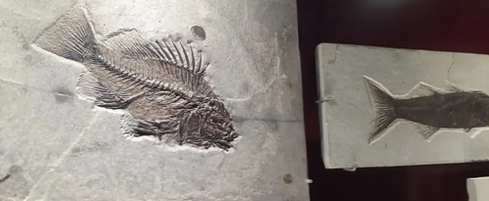 Lions (Berry) Park Campground