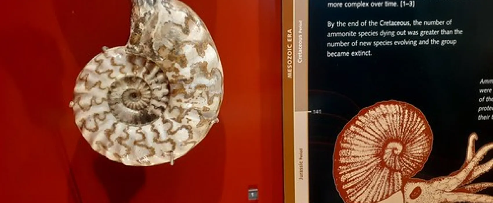 Lions (Berry) Park Campground