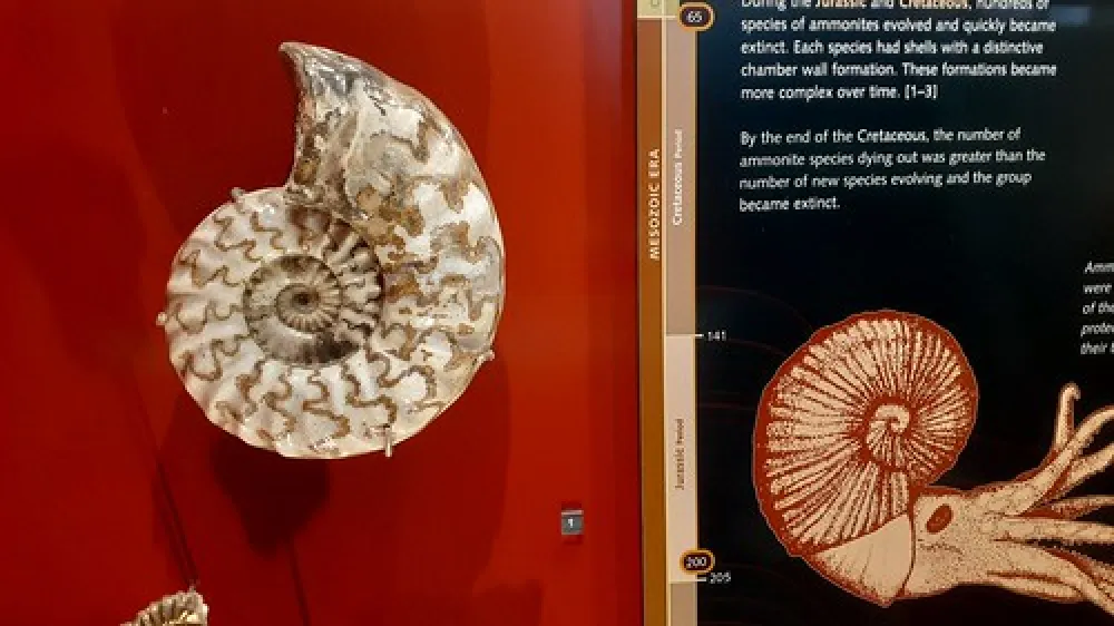 Lions (Berry) Park Campground