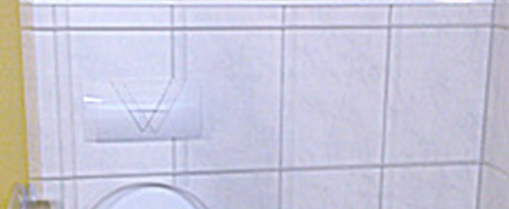 Campingplatz "Die Wölfe vom Wolfstein e.V."