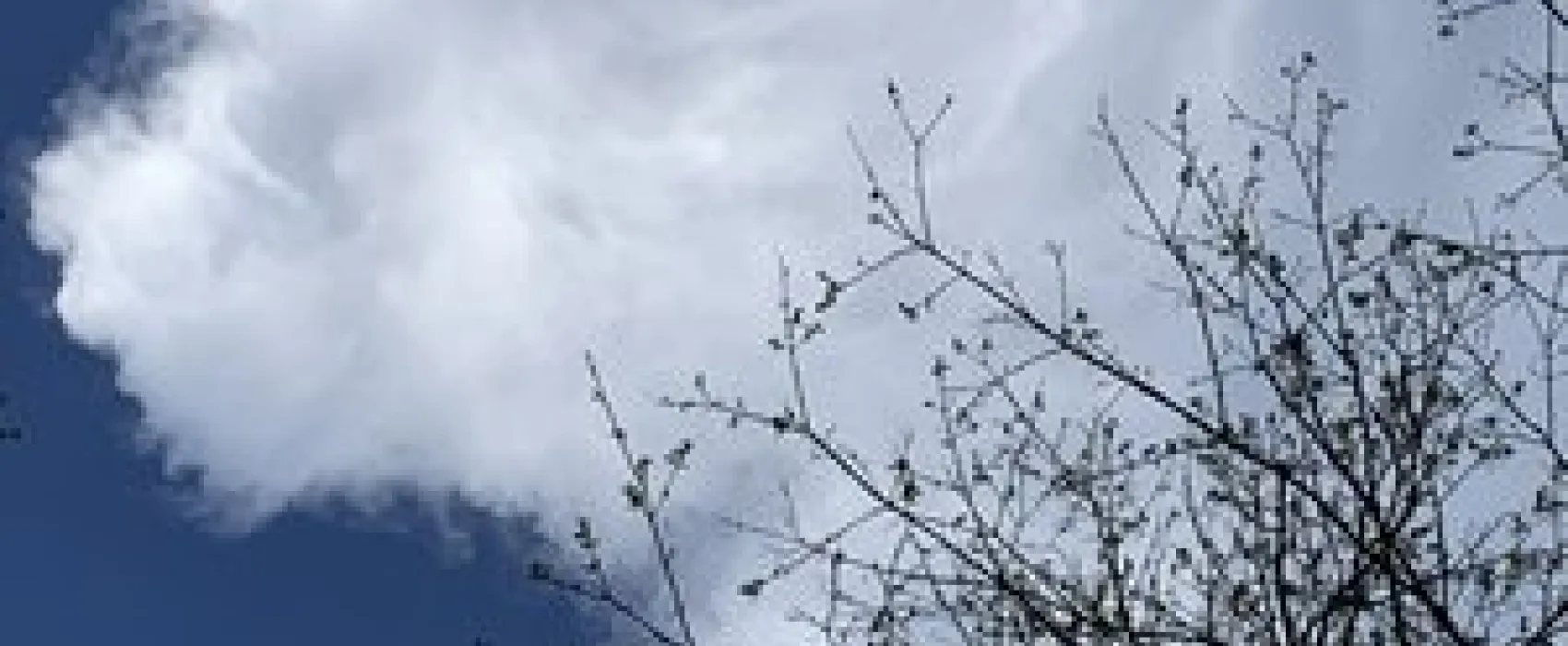 Ozark Outdoors Riverfront Resort