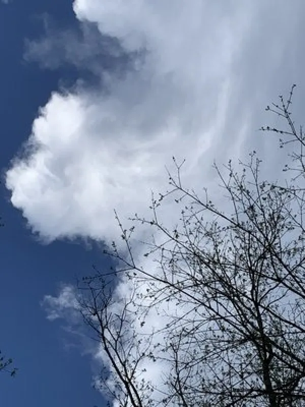 Ozark Outdoors Riverfront Resort