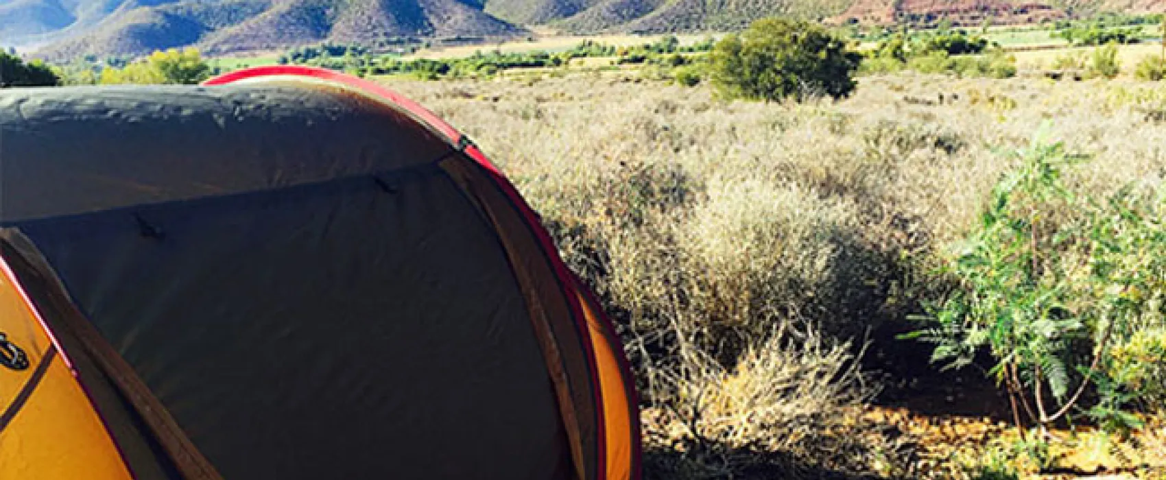 The Travelling Tortoise Campsites