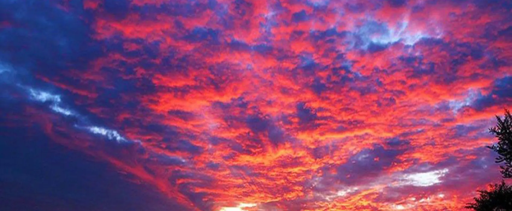 The Travelling Tortoise Campsites