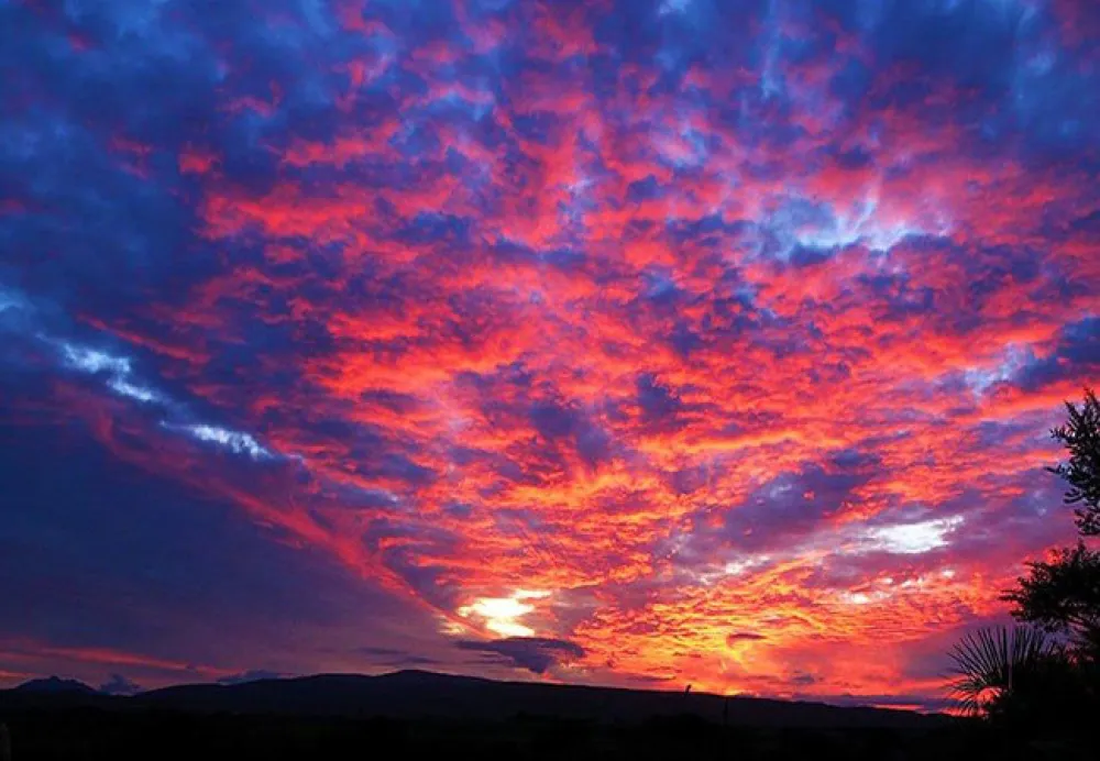 The Travelling Tortoise Campsites