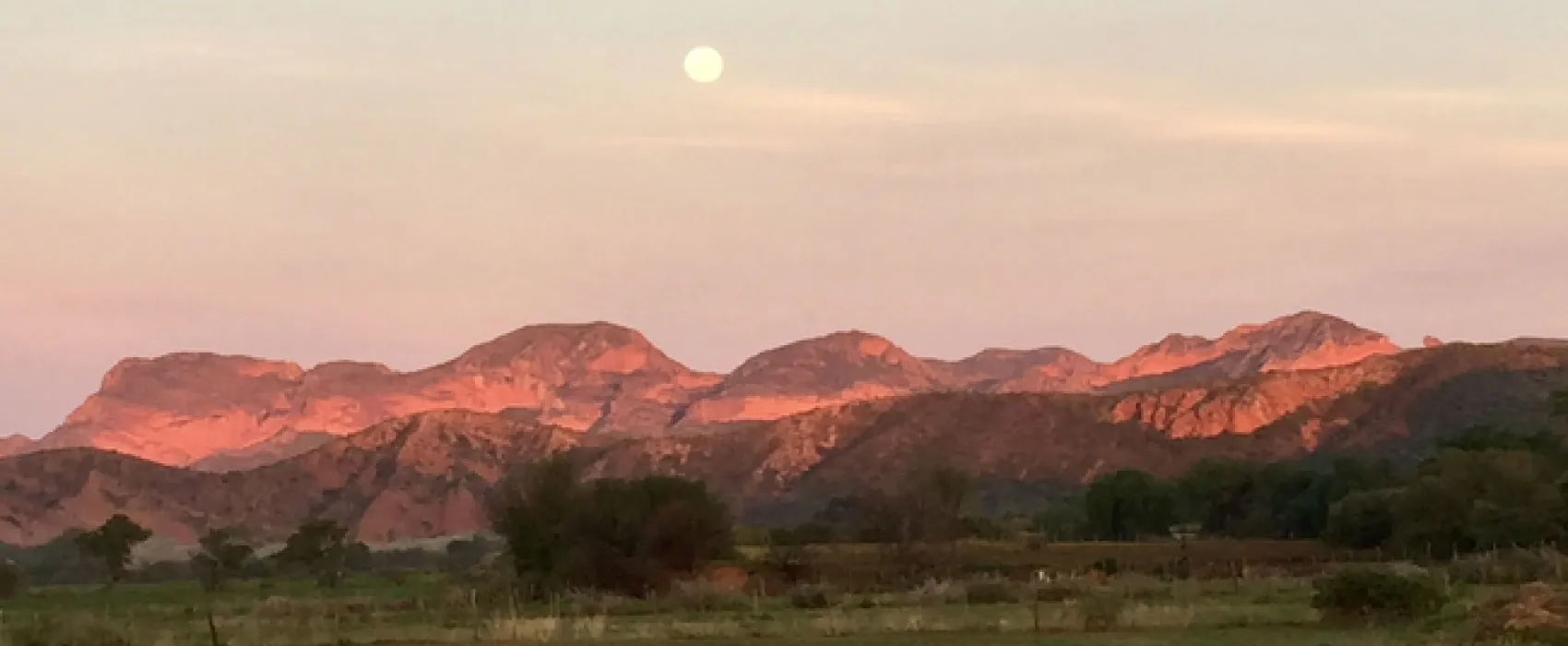 The Travelling Tortoise Campsites