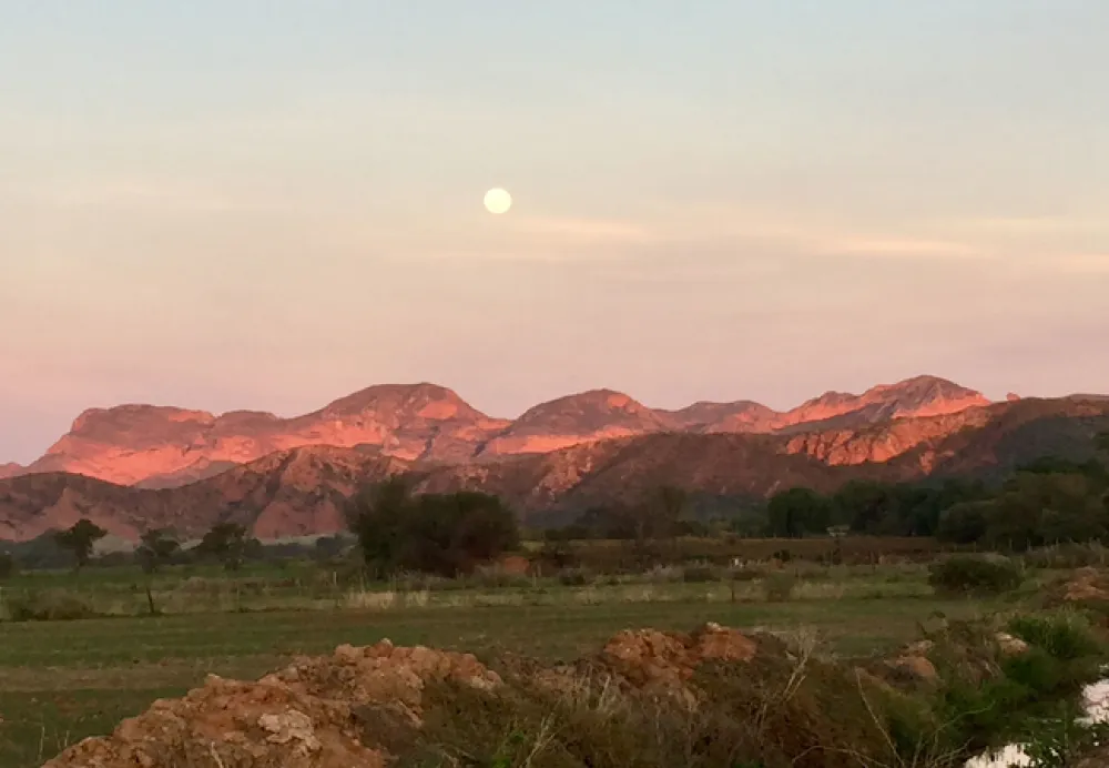 The Travelling Tortoise Campsites