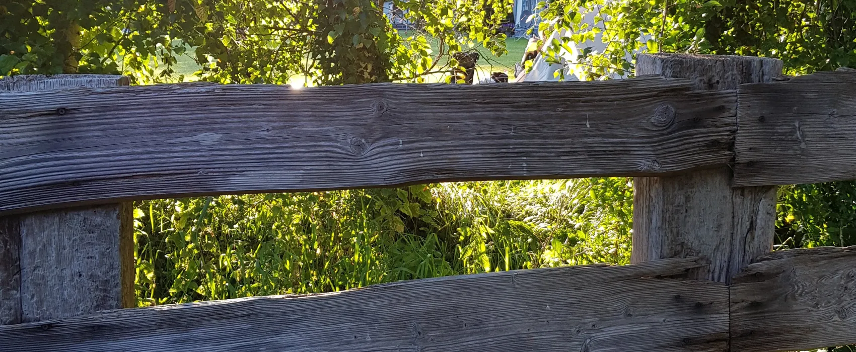 Minicamping Westenenk