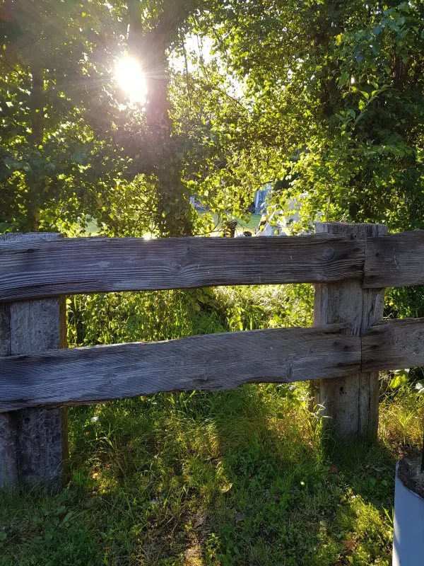 Minicamping Westenenk