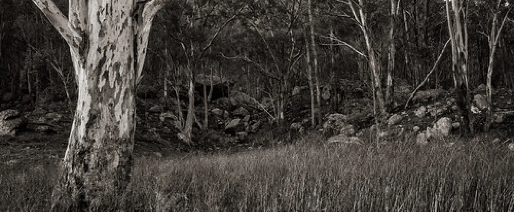 Glen Davis Park Campground