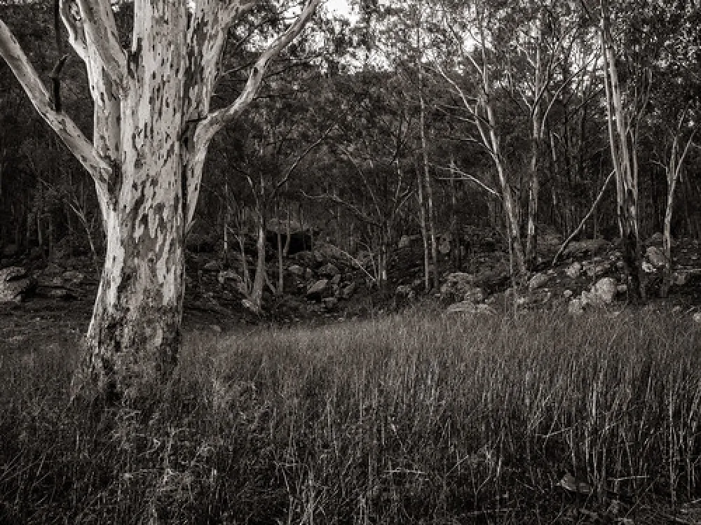 Glen Davis Park Campground