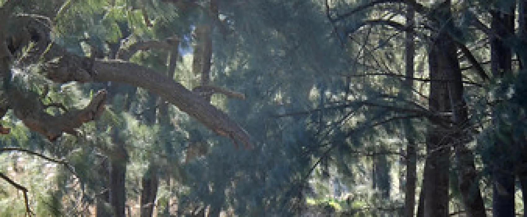 Glen Davis Park Campground