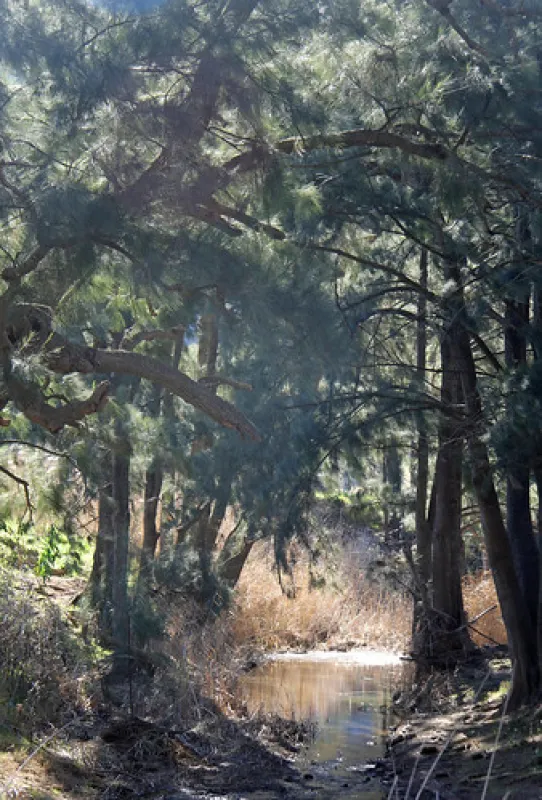 Glen Davis Park Campground