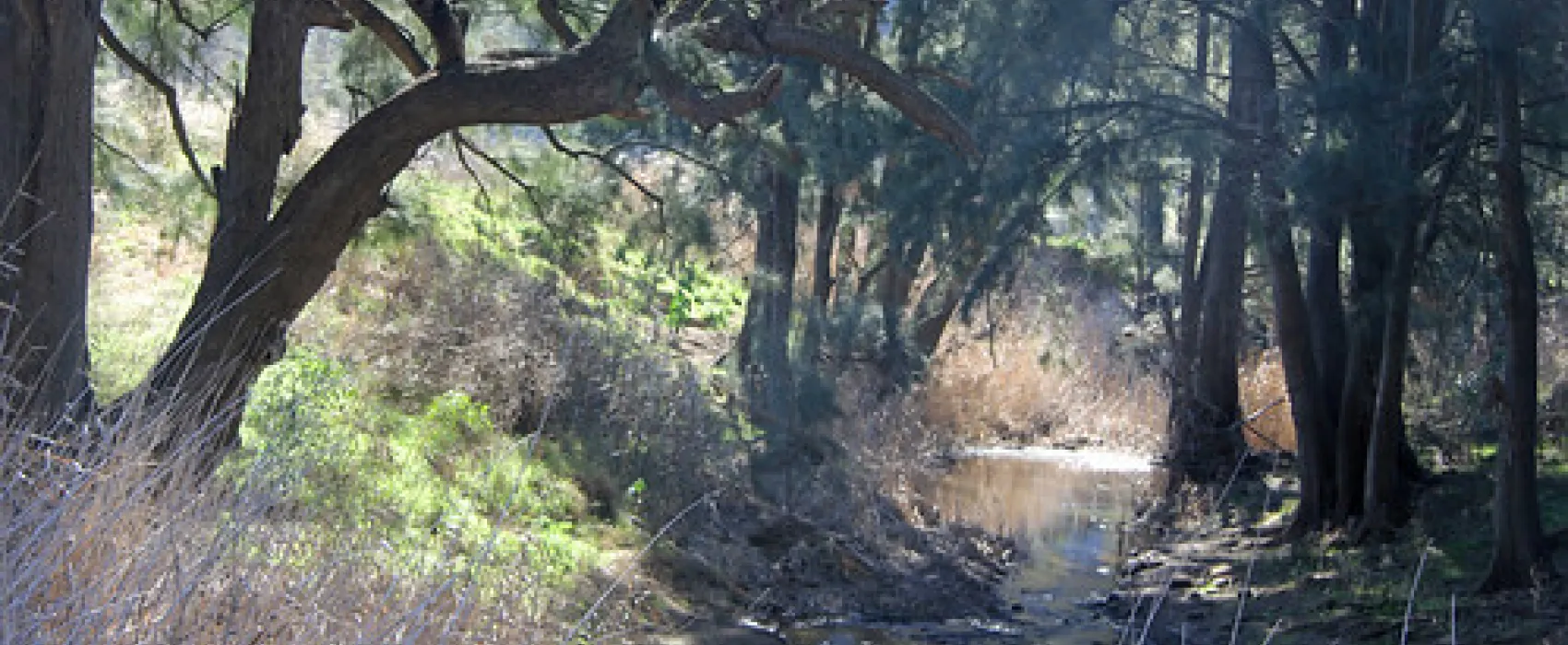 Glen Davis Park Campground