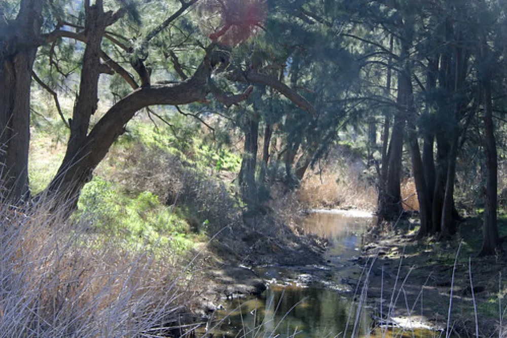 Glen Davis Park Campground