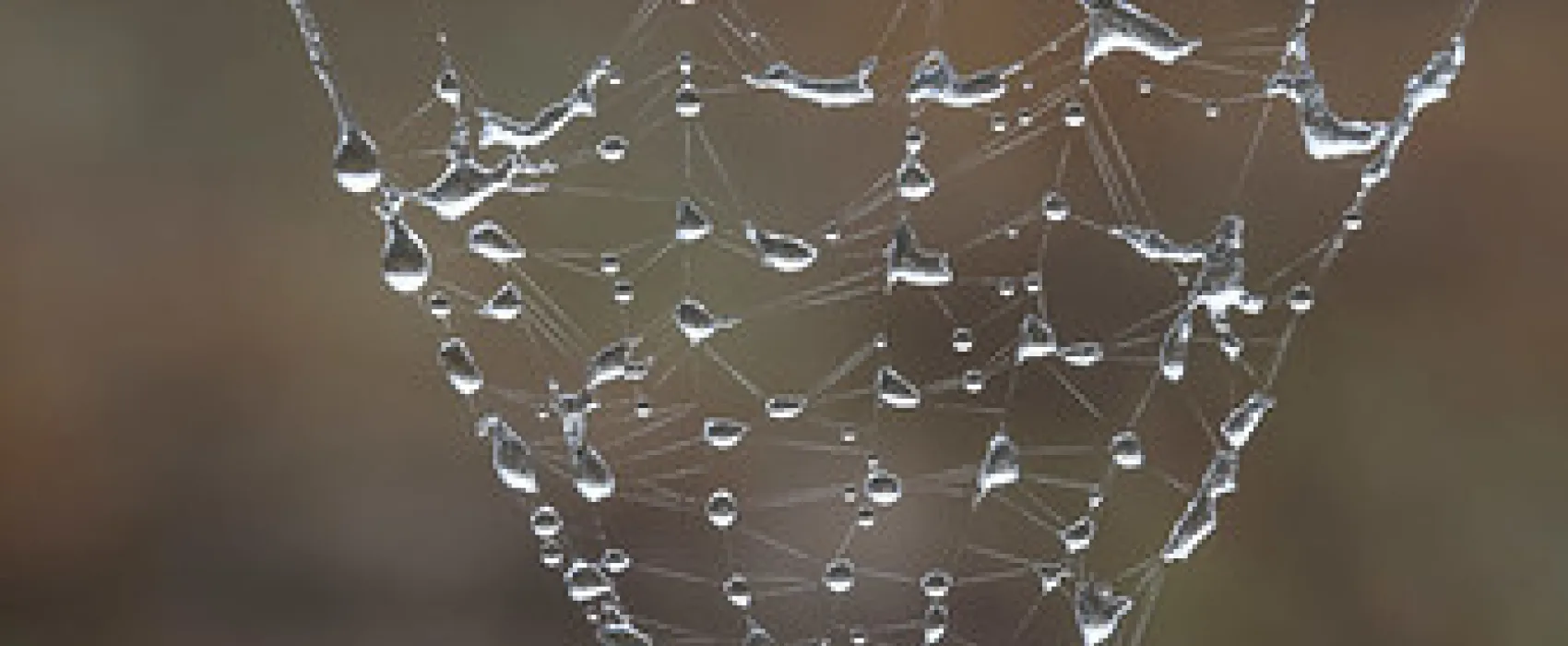 Glen Davis Park Campground