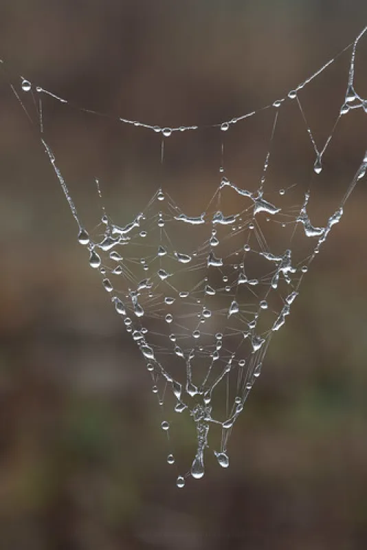 Glen Davis Park Campground