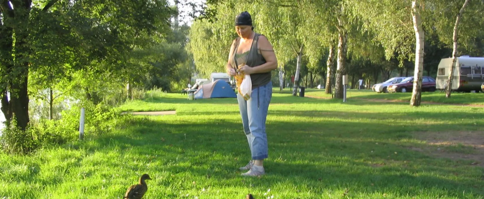 Camping Insel Ziehfurt