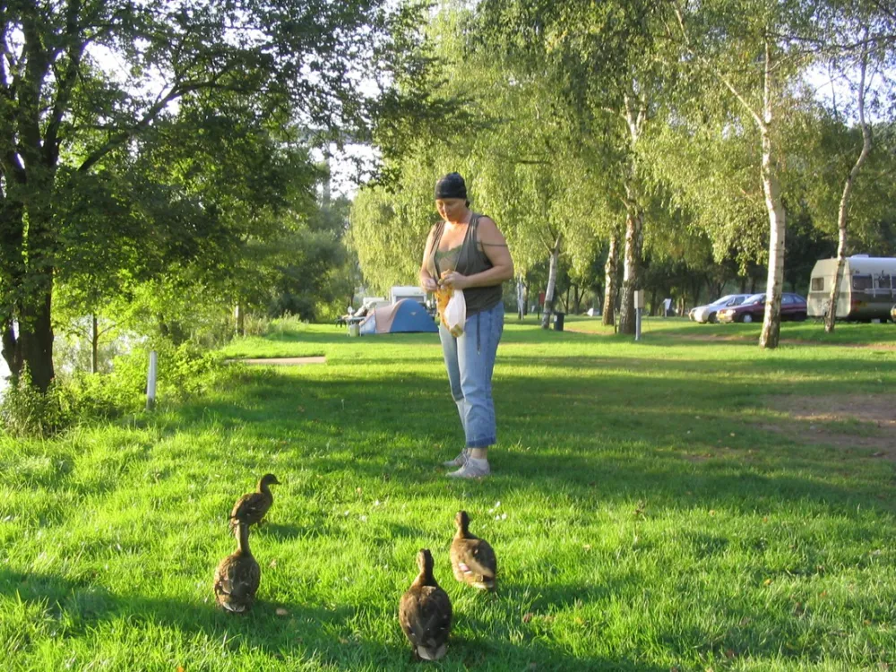 Camping Insel Ziehfurt