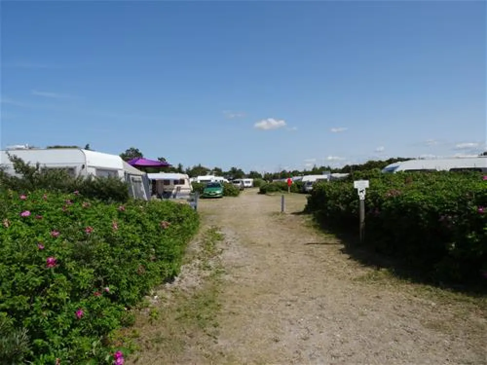 Bjerge Sydstrand Camping