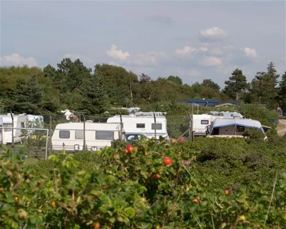 Bjerge Sydstrand Camping