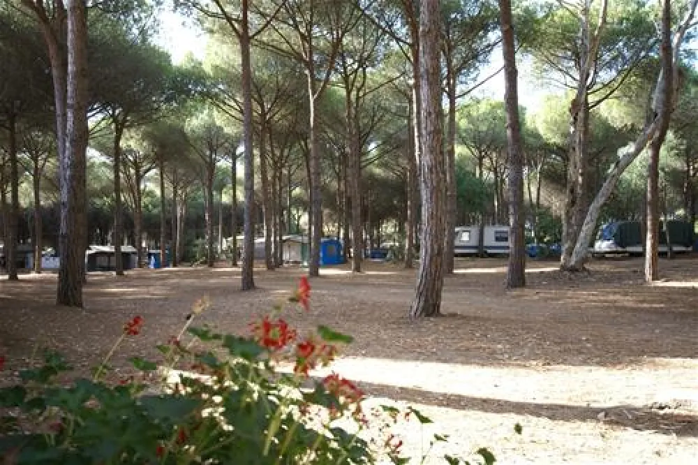 Camping Village Bella Sardinia