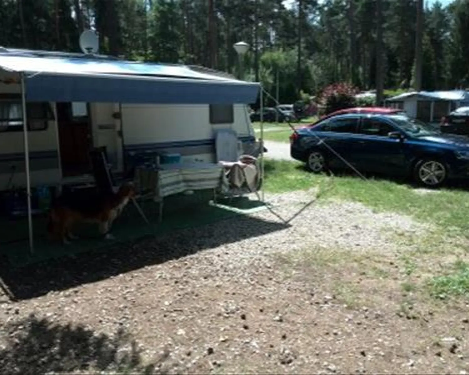 Camping Waldsee GmbH & Co. KG in Deutschland - Spottocamp - Spottocamp