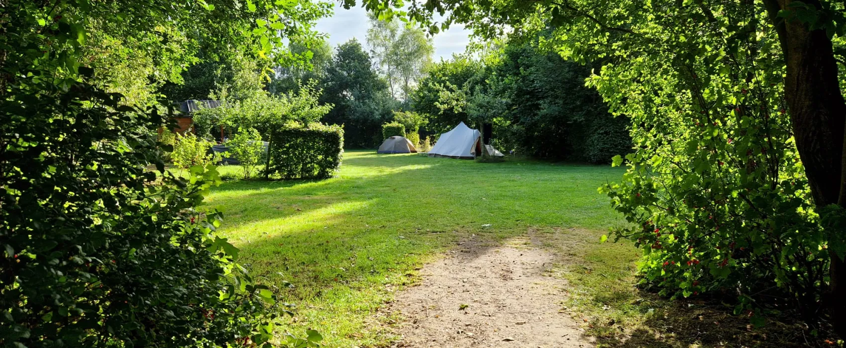 Natuurkampeerterrein Laaghalerveld