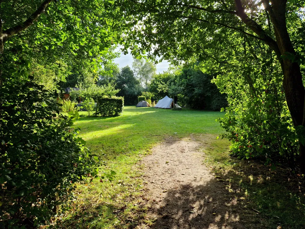 Natuurkampeerterrein Laaghalerveld
