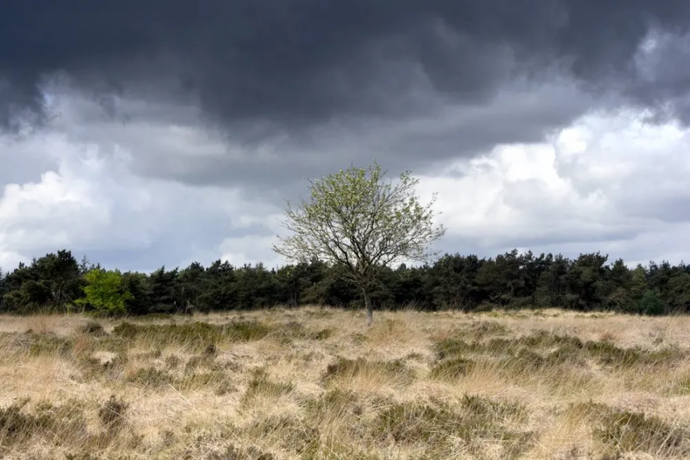 Natuurkampeerterrein Laaghalerveld