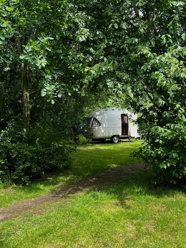 Natuurkampeerterrein Laaghalerveld