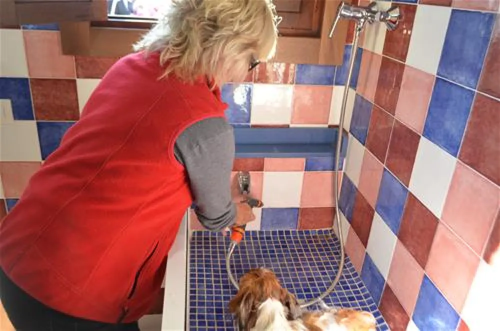 Camping Torre La Sal 2